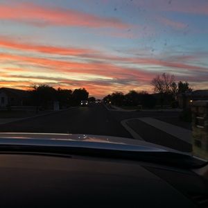 Meet your Posher, Bella